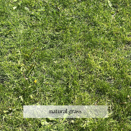 Artificial turf vs natural grass